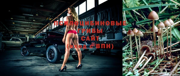 тгк Козельск