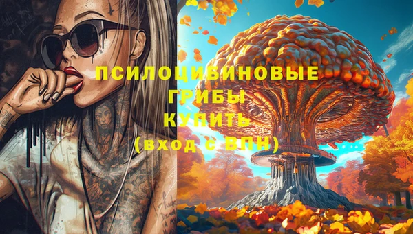 стафф Козловка