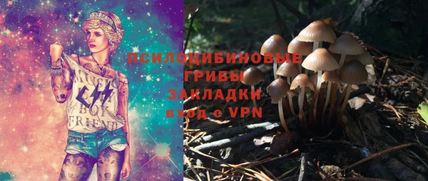 бошки Кодинск