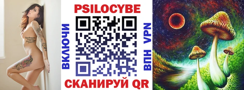 Купить где  Балтийск  Псилоцибиновые грибы мицелий 